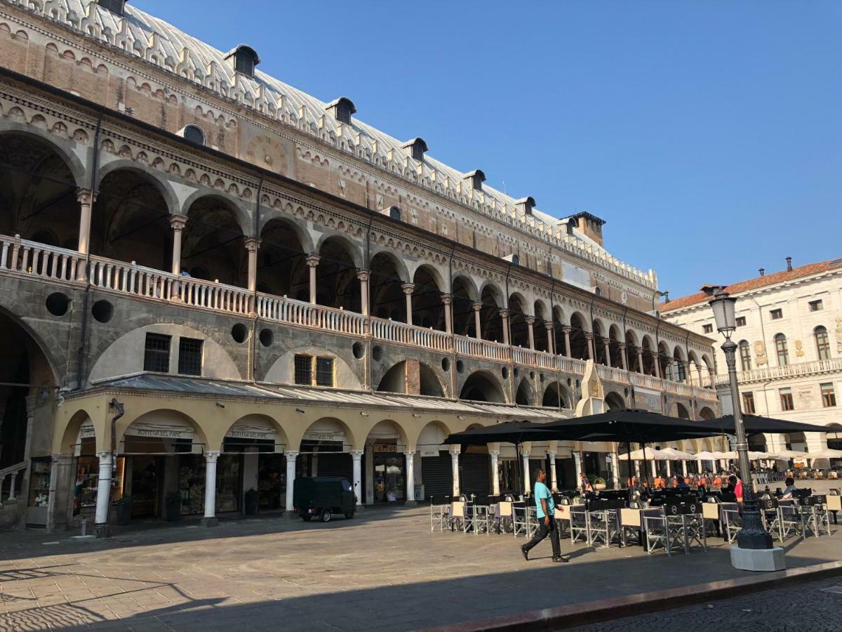 M14 Duomo Apartments 帕多瓦 外观 照片