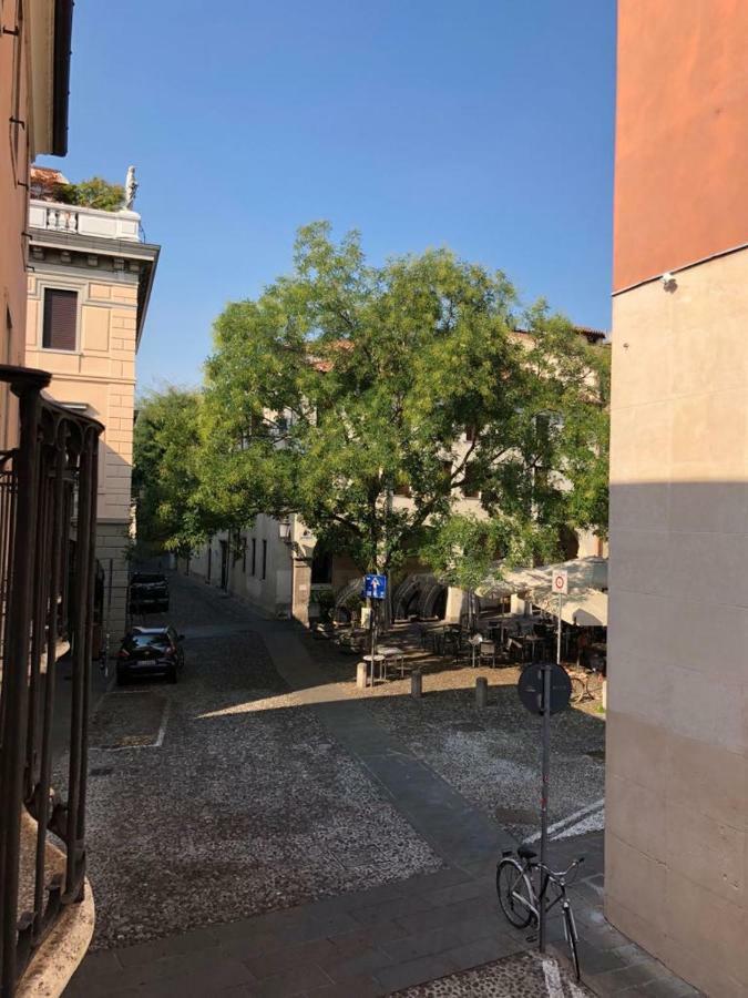 M14 Duomo Apartments 帕多瓦 外观 照片