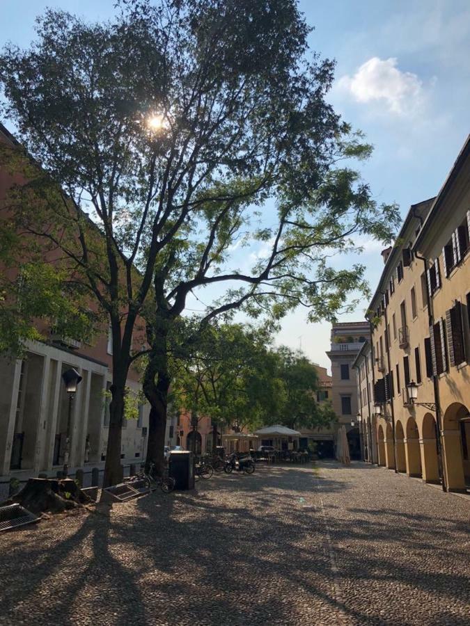 M14 Duomo Apartments 帕多瓦 外观 照片